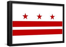 Washington DC Flag Poster Print-null-Framed Poster