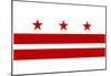 Washington DC Flag Poster Print-null-Mounted Poster