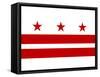 Washington DC Flag Poster Print-null-Framed Stretched Canvas