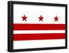 Washington DC Flag Poster Print-null-Framed Poster