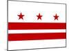 Washington DC Flag Poster Print-null-Mounted Poster