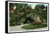 Washington, DC, Franciscan Monastery View of the Grotto of Lourdes-Lantern Press-Framed Stretched Canvas