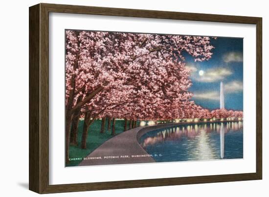 Washington DC, Potomac Park and Blossoming Cherry Trees Scene at Night-Lantern Press-Framed Art Print