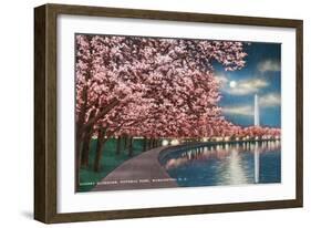 Washington DC, Potomac Park and Blossoming Cherry Trees Scene at Night-Lantern Press-Framed Art Print