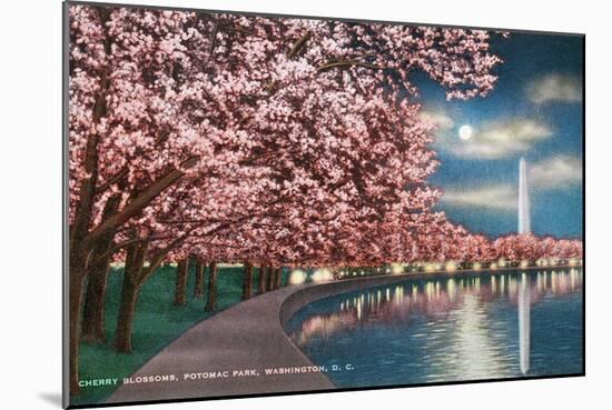 Washington DC, Potomac Park and Blossoming Cherry Trees Scene at Night-Lantern Press-Mounted Art Print