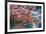 Washington DC, Potomac Park and Blossoming Cherry Trees Scene at Night-Lantern Press-Framed Art Print