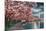Washington DC, Potomac Park and Blossoming Cherry Trees Scene at Night-Lantern Press-Mounted Art Print