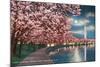 Washington DC, Potomac Park and Blossoming Cherry Trees Scene at Night-Lantern Press-Mounted Art Print