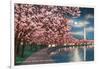 Washington DC, Potomac Park and Blossoming Cherry Trees Scene at Night-Lantern Press-Framed Art Print