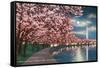 Washington DC, Potomac Park and Blossoming Cherry Trees Scene at Night-Lantern Press-Framed Stretched Canvas