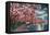 Washington DC, Potomac Park and Blossoming Cherry Trees Scene at Night-Lantern Press-Framed Stretched Canvas