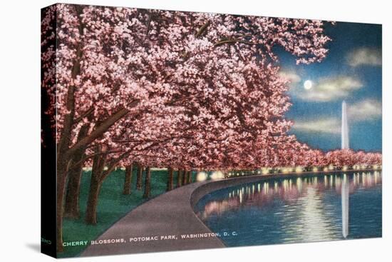 Washington DC, Potomac Park and Blossoming Cherry Trees Scene at Night-Lantern Press-Stretched Canvas