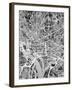 Washington DC Street Map-Michael Tompsett-Framed Art Print