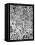 Washington DC Street Map-Michael Tompsett-Framed Stretched Canvas