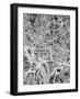 Washington DC Street Map-Michael Tompsett-Framed Art Print