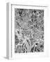 Washington DC Street Map-Michael Tompsett-Framed Art Print