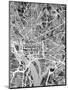 Washington DC Street Map-Michael Tompsett-Mounted Art Print