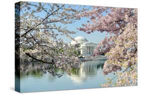 Washington Dc, Thomas Jefferson Memorial during Cherry Blossom Festival in Spring - United States-Orhan-Stretched Canvas