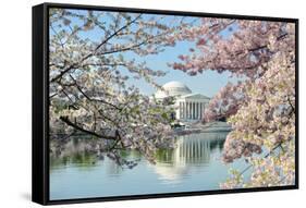 Washington Dc, Thomas Jefferson Memorial during Cherry Blossom Festival in Spring - United States-Orhan-Framed Stretched Canvas