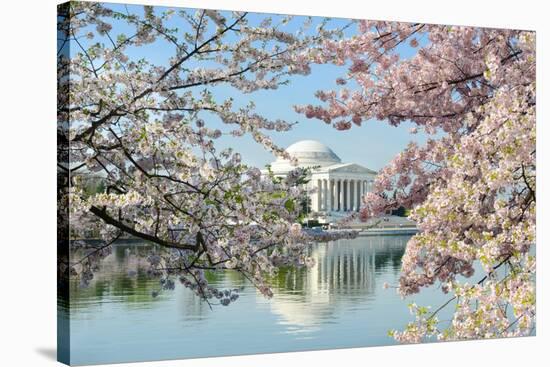 Washington Dc, Thomas Jefferson Memorial during Cherry Blossom Festival in Spring - United States-Orhan-Stretched Canvas