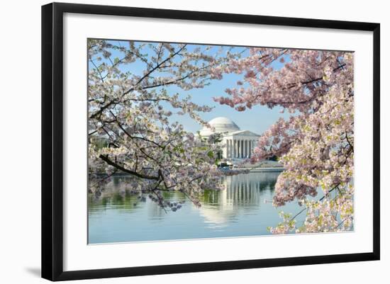 Washington Dc, Thomas Jefferson Memorial during Cherry Blossom Festival in Spring - United States-Orhan-Framed Photographic Print