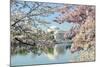 Washington Dc, Thomas Jefferson Memorial during Cherry Blossom Festival in Spring - United States-Orhan-Mounted Photographic Print