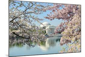 Washington Dc, Thomas Jefferson Memorial during Cherry Blossom Festival in Spring - United States-Orhan-Mounted Photographic Print