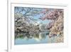 Washington Dc, Thomas Jefferson Memorial during Cherry Blossom Festival in Spring - United States-Orhan-Framed Photographic Print