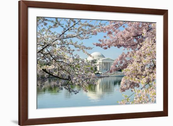 Washington Dc, Thomas Jefferson Memorial during Cherry Blossom Festival in Spring - United States-Orhan-Framed Photographic Print