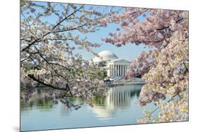 Washington Dc, Thomas Jefferson Memorial during Cherry Blossom Festival in Spring - United States-Orhan-Mounted Photographic Print