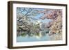 Washington Dc, Thomas Jefferson Memorial during Cherry Blossom Festival in Spring - United States-Orhan-Framed Photographic Print