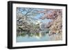 Washington Dc, Thomas Jefferson Memorial during Cherry Blossom Festival in Spring - United States-Orhan-Framed Photographic Print