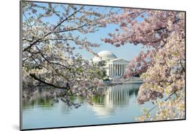 Washington Dc, Thomas Jefferson Memorial during Cherry Blossom Festival in Spring - United States-Orhan-Mounted Photographic Print