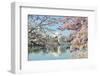 Washington Dc, Thomas Jefferson Memorial during Cherry Blossom Festival in Spring - United States-Orhan-Framed Photographic Print