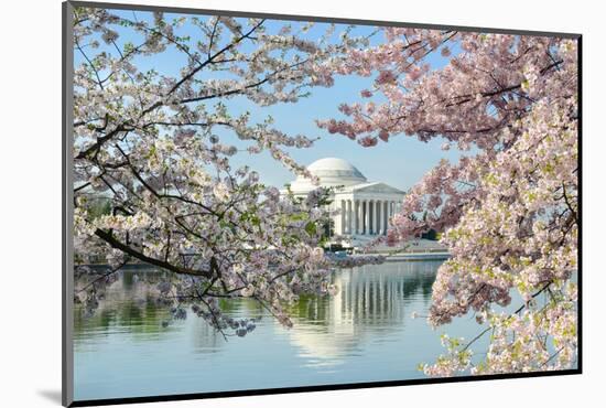 Washington Dc, Thomas Jefferson Memorial during Cherry Blossom Festival in Spring - United States-Orhan-Mounted Photographic Print