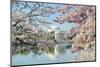 Washington Dc, Thomas Jefferson Memorial during Cherry Blossom Festival in Spring - United States-Orhan-Mounted Photographic Print