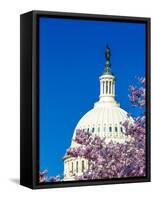 WASHINGTON DC - US Capitol and Cherry Blossoms, Washington D.C.-null-Framed Stretched Canvas