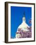 WASHINGTON DC - US Capitol and Cherry Blossoms, Washington D.C.-null-Framed Photographic Print