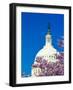 WASHINGTON DC - US Capitol and Cherry Blossoms, Washington D.C.-null-Framed Photographic Print