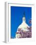 WASHINGTON DC - US Capitol and Cherry Blossoms, Washington D.C.-null-Framed Photographic Print