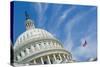 Washington Dc, US Capitol Building Dome-Orhan-Stretched Canvas