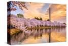 Stretched Canvas