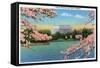 Washington DC, View of the Lincoln Memorial through Blossoming Cherry Trees-Lantern Press-Framed Stretched Canvas