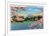 Washington DC, View of the Lincoln Memorial through Blossoming Cherry Trees-Lantern Press-Framed Premium Giclee Print