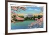 Washington DC, View of the Lincoln Memorial through Blossoming Cherry Trees-Lantern Press-Framed Premium Giclee Print