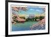 Washington DC, View of the Lincoln Memorial through Blossoming Cherry Trees-Lantern Press-Framed Premium Giclee Print