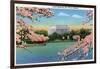 Washington DC, View of the Lincoln Memorial through Blossoming Cherry Trees-Lantern Press-Framed Art Print