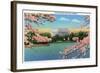 Washington DC, View of the Lincoln Memorial through Blossoming Cherry Trees-Lantern Press-Framed Art Print