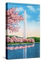 Washington DC, View of the Washington Monument through Blossoming Cherry Trees-Lantern Press-Stretched Canvas