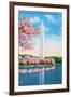 Washington DC, View of the Washington Monument through Blossoming Cherry Trees-Lantern Press-Framed Art Print